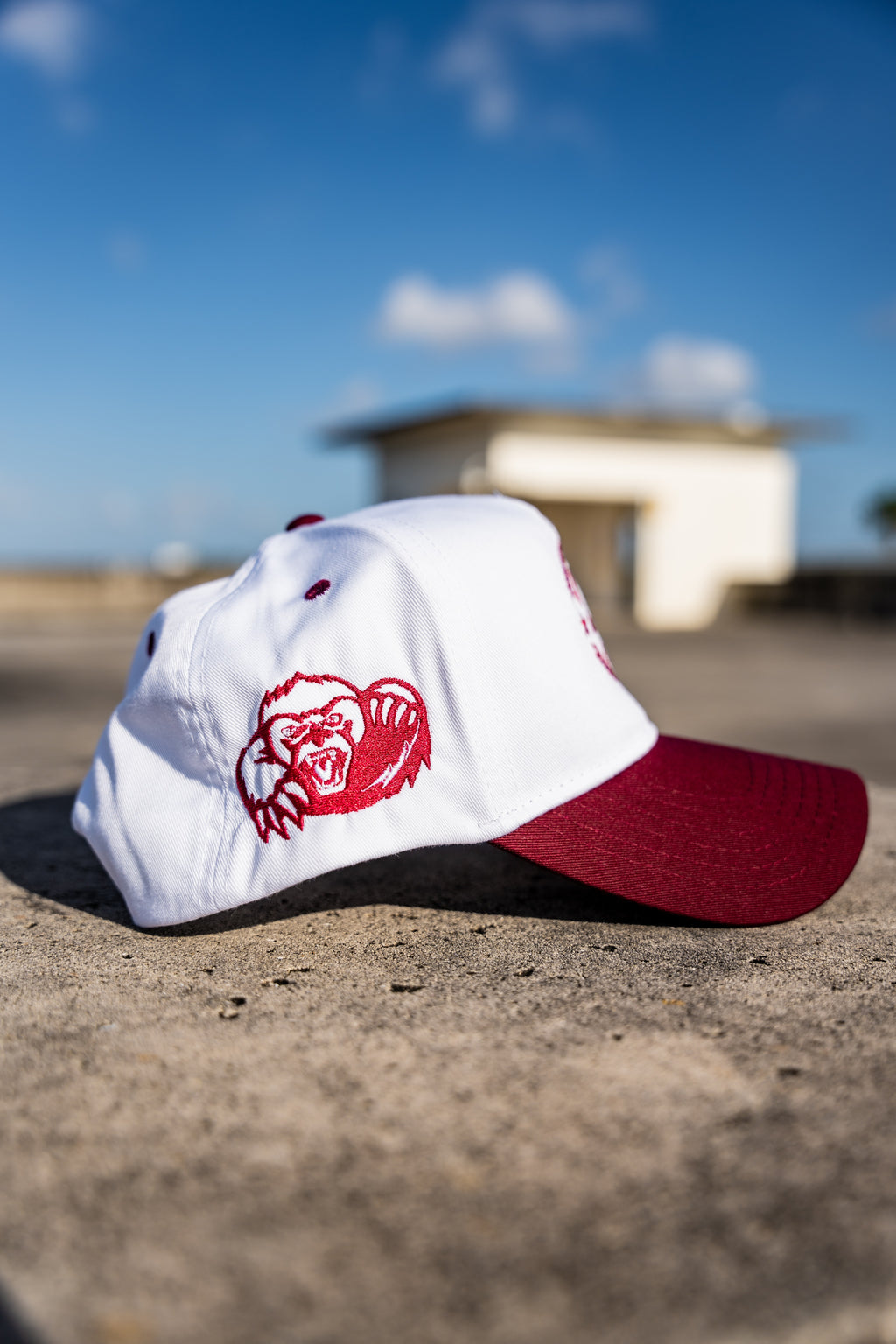 100% cotton  Curved visor  One size fits all with adjustable strap-back rear Handmade quality snapback  Unique and authentic designs 